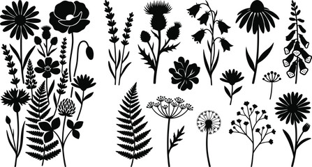 Set of wild meadow flowers and herbs silhouettes © SH Stock