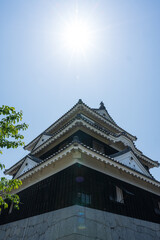 Obraz premium Matsuyama Castle, Ehime, a famous landmark