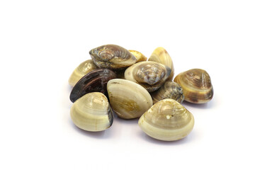 Closed up fresh baby clams. venus shell. shellfish. carpet clams. Food from nature. as raw food from the sea are the seafood ingredients. fresh clams isolated on white background © Pisan