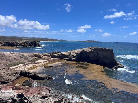 Randonn&eacute;es Plage des Salines &middot; La Savanne des P&eacute;trifications et l'Anse Trabaud