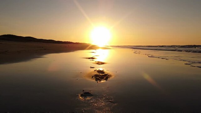Footprints in the sand lead towards a bright sunset over the ocean, reflecting golden light on the wet beach surface with gentle waves in the background