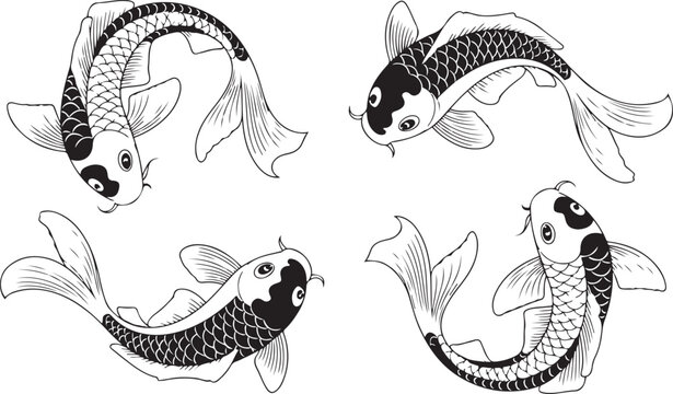 four black and white koi fish swimming in different directions