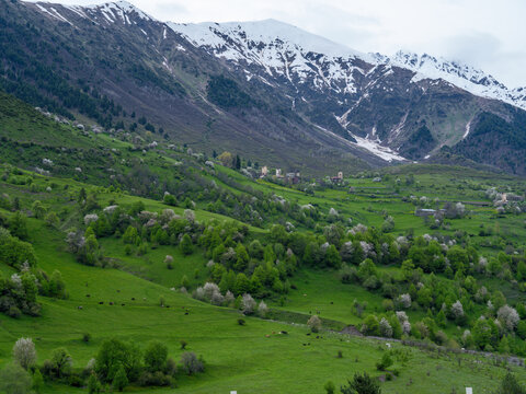 Svaneti historic village with medieval stone towers and blooming spring trees, Georgia.