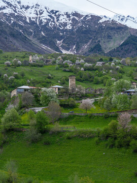 Svaneti historic village with medieval stone towers and blooming spring trees, Georgia.