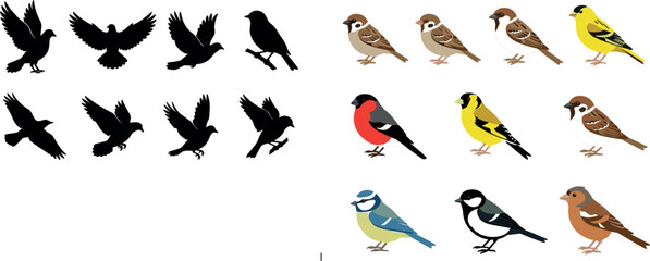 Wild Bird Collection Set with Black Silhouettes and Colorful Flat Style Sparrow Bullfinch Goldfinch and Blue Tit Nature Wildlife Illustration Vector Design © MDEsmayil