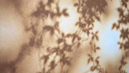 Soft shadows of leaves cast on a textured surface, creating an artistic interplay of light and shadow. The warm tones enhance the natural beauty. © mocklyn