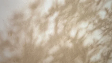 Fotobehang Rustgevend Abstract background featuring soft shadows of foliage on a light beige surface, creating a calming and natural ambiance.  © mocklyn