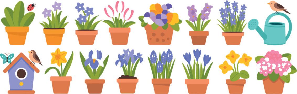 
Cute Spring Garden Flower Pot Collection Set with Colorful Blooms Birdhouse Watering Can and Birds Flat Style Illustration Vector Design