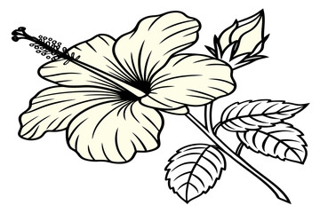 coloring page line art the yellow hibiscus flower black vector © MK