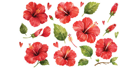 Watercolor red hibiscus flower tropical botanical elements set © dian's