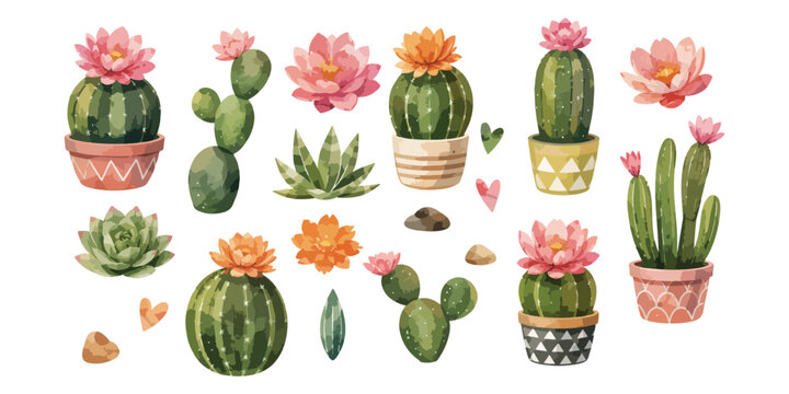 Watercolor potted cactus and succulent plants elements set