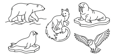 Arctic animals line art collection, polar bear and walrus vector icons, snowy owl and arctic fox illustrations, 5 black and white wildlife elements © Shahzad