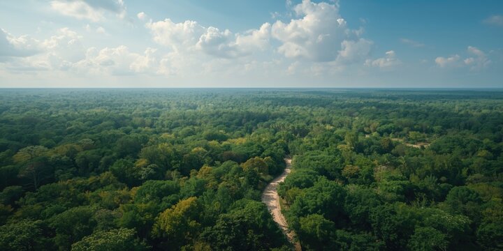 Natural untouched forest from above displaying sustainability sign promoting stakeholder governance initiatives