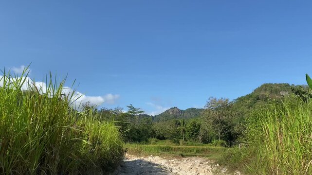 Wide shot of a rural dirt path with green hills and clear blue sky