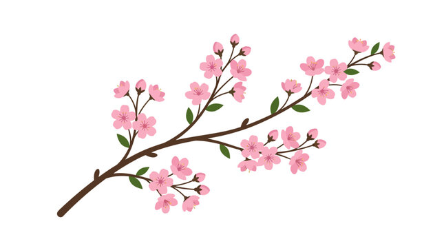 Delicate Pink Cherry Blossom Branch with Green Leaves, Spring Floral Illustration
