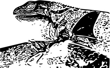 Obraz premium Internasional lizard day 