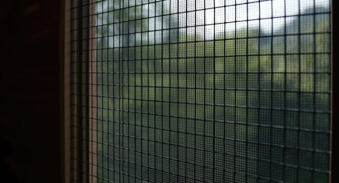Insect Shield Wire Screen Window Guard for Mosquito Protection