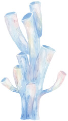 Coral reef watercolor © Labellong