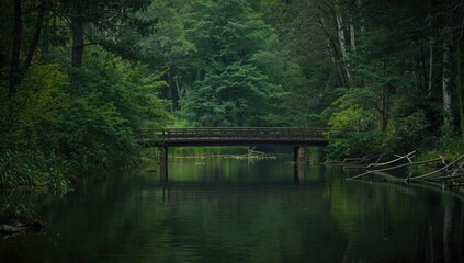 Obraz premium Serene landscape featuring bridge over calm water in lush woods