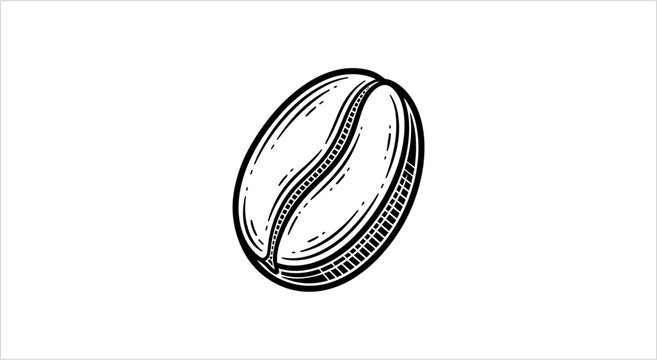 Detailed Hand Drawn Illustration of a Single Coffee Bean.