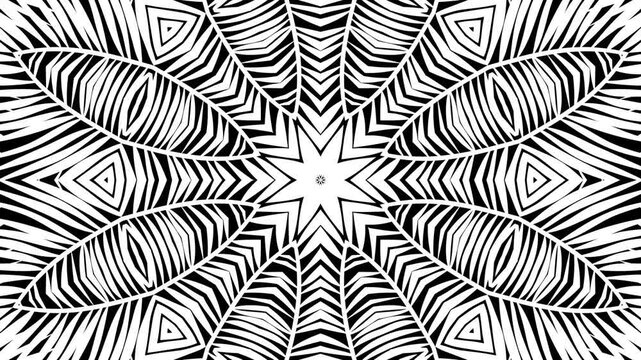 Black and white kaleidoscope abstract geometric pattern radiates outward. Symmetrical design features sharp lines and angular shapes. 