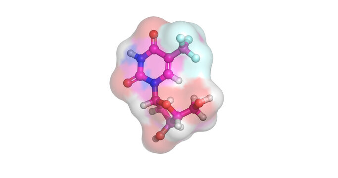 Trifluridine, thymidine kinase inhibitor for herpes simplex keratitis, 3D molecule 4K
