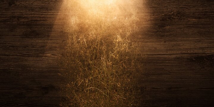 Stained wooden texture with overlay of soil and grass floor haze copy space