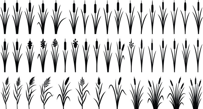 Large reed and cattail silhouette collection wetland botanical elements