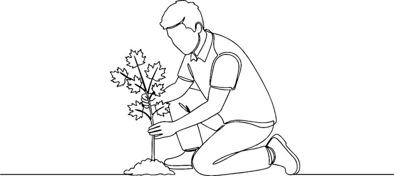 Person kneeling and planting a young tree sapling carefully.