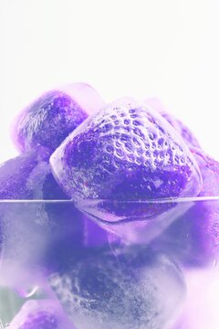 Frozen strawberries in ice cubes with melting water and reflections
