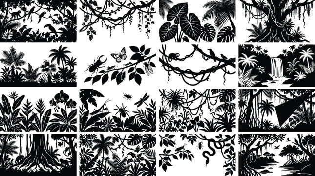 Rainforest silhouette illustrations showing tropical plants, monkeys, birds, butterflies, snakes, waterfalls, streams, and diverse jungle wildlife