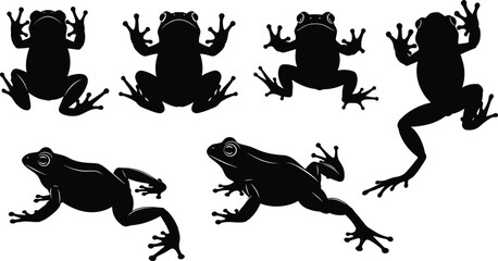 Naklejka premium Six black frog silhouettes in varied positions, featuring top and side views, highlighting crawling, jumping, and distinctive amphibian posture diversity