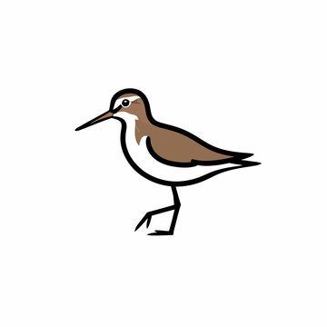 Simple vector illustration of a small brown sandpiper bird