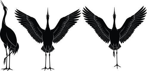 Three black crane silhouettes in varied postures, featuring upright standing and wing‑extended display poses, emphasizing elegant proportions and feather detail © bipul stok