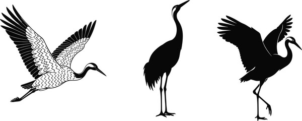 Three stylized crane silhouettes in varied poses, featuring flying, standing, and wing‑raised movements, emphasizing graceful body proportions and feather detail © bipul stok