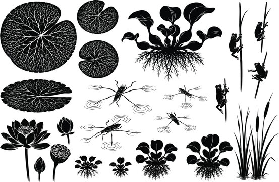 Aquatic Plants And Insects Silhouette Collection Wetland Nature Vector