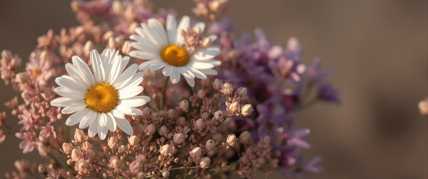 Seasonal arrangement featuring daisy with Erigeron glaucus blooms