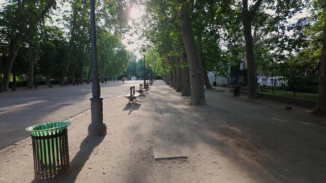Walk of the Retiro Park at sunrise with wooden benches and large trees that provide shade, Madrid.