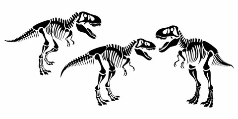 Dinosaur Skeletons Illustration Black And White Graphic Design © Raben