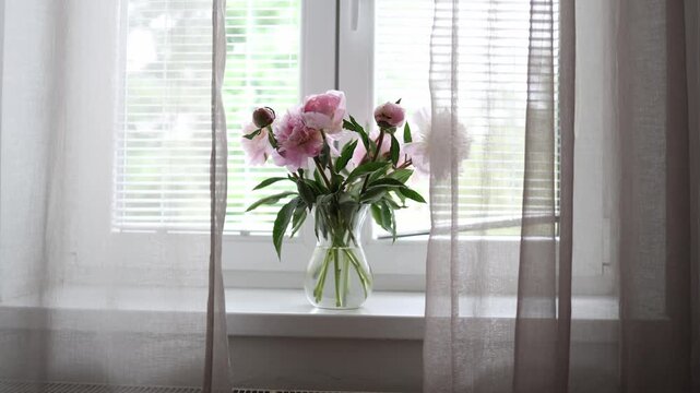 Soft pink peonies resting in glass vase on windowsill framed by sheer curtains and gentle daylight creating peaceful home interior and cozy living space