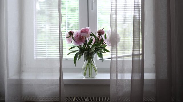 Soft pink peonies in glass vase on windowsill behind sheer curtains with natural daylight creating tranquil home interior atmosphere and elegant decor