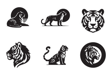 Six black and white tiger in various poses lion big cat 1 animal wildlife © Jannat