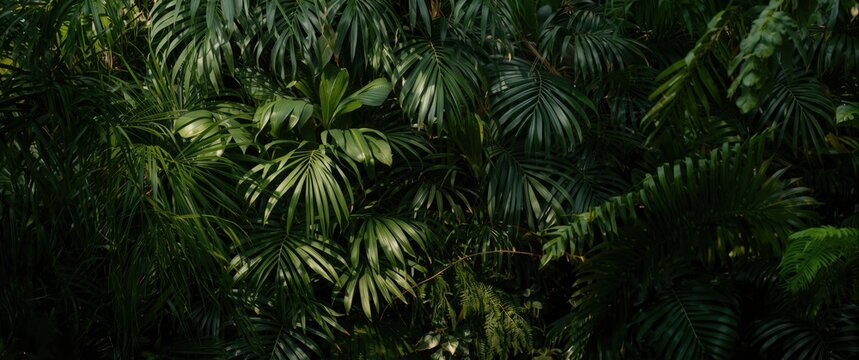 Jade and moss layered tropical leaves creating a vivid vertical greenery backdrop with warm sunlight
