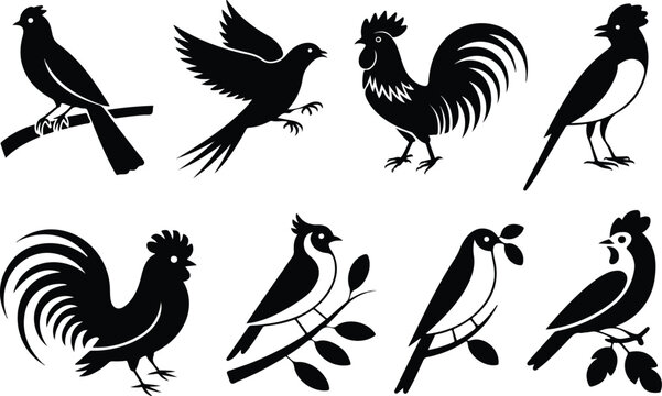 Minimal bird of paradise floral silhouette vector collection isolated on white background with decorative tropical style