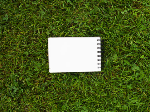 Top view of open blank spiral notebooks on green grass background, surrounded by sketching markers, drawing pencils and artist supplies.
