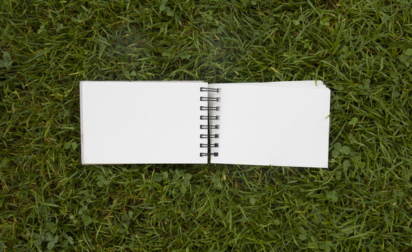 Top view of open blank spiral notebooks on green grass background, surrounded by sketching markers, drawing pencils and artist supplies.
