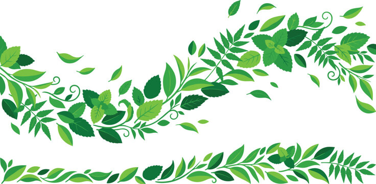 Fresh Green Tea and Mint Leaves Vector Border Set with Swirling Botanical Branches Swirls and Flying Foliage Elements Graphic Illustration