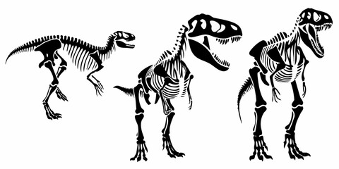 Dinosaur Skeletons Illustration Black And White Graphic Design © Usa