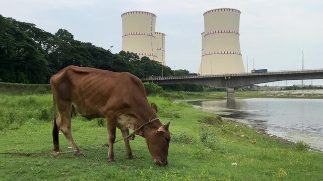 Rooppur Nuclear Power Plant