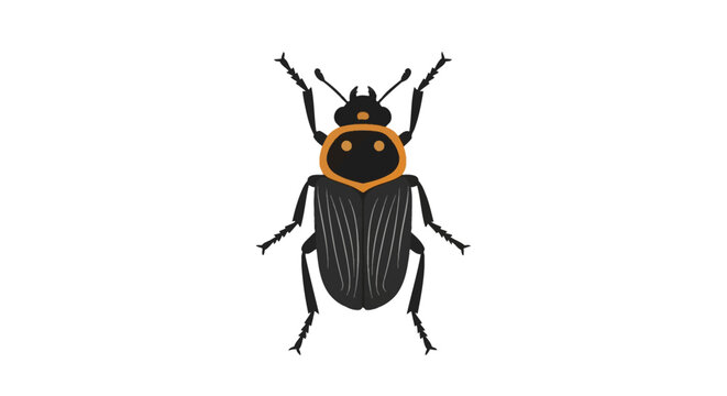 Vector illustration of a burying beetle insect, Nicrophorus genus, featuring a black body with distinct orange markings on the pronotum, isolated on a white background.
